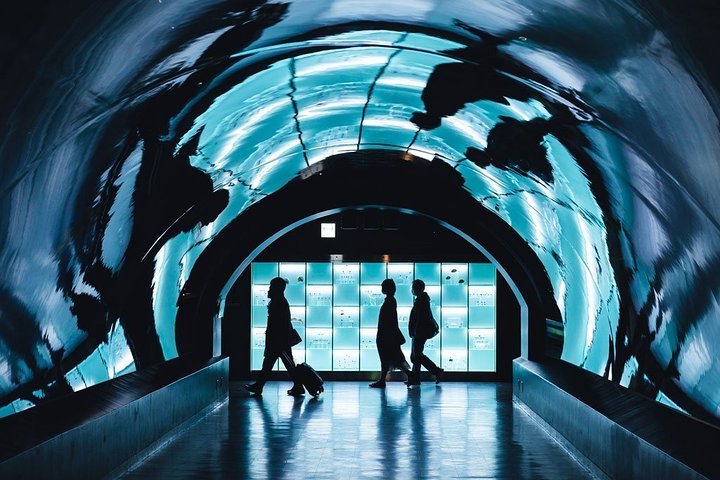 Paris Private transfer Orly Airport to Paris City